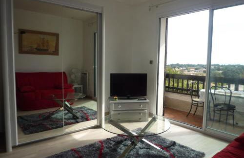 Grand Studio Avec Piscine Presqu'île De Giens - Foto 16