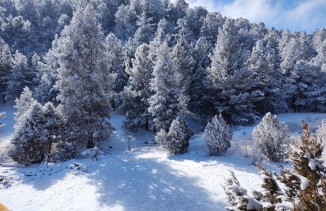 Room-parador Arewá La Energía Que Impuls - Foto 35
