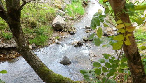 Au Petit Grammont - Piscine & Jacuzzi - Foto 3, Garden