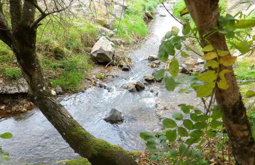 Au Petit Grammont - Piscine & Jacuzzi - Foto 3