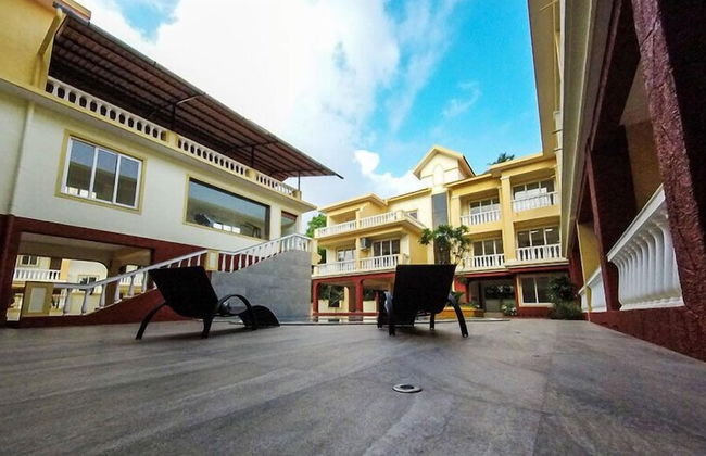 B&F Amber Gardens - Photo 12