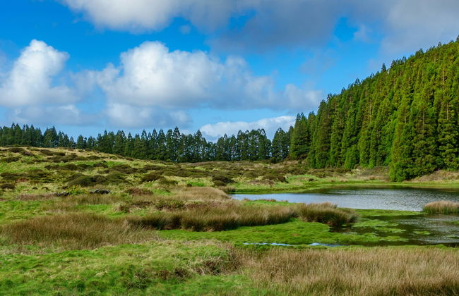 Balade à vélo électrique dans Terceira - Photo 4