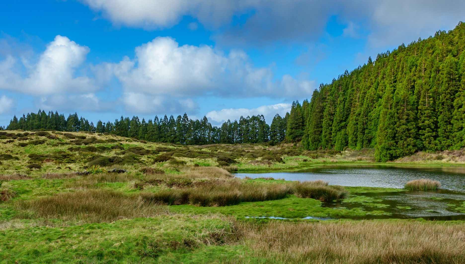 Tour en bicicleta eléctrica por Terceira