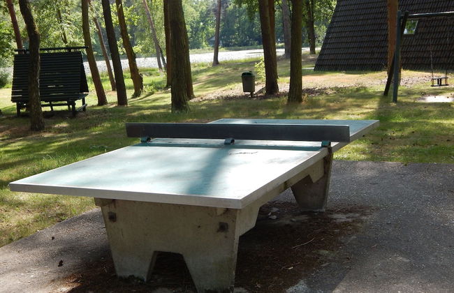 Holiday Home in North Limburg - Photo 24