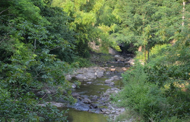 Podere Campofossato - Photo 32