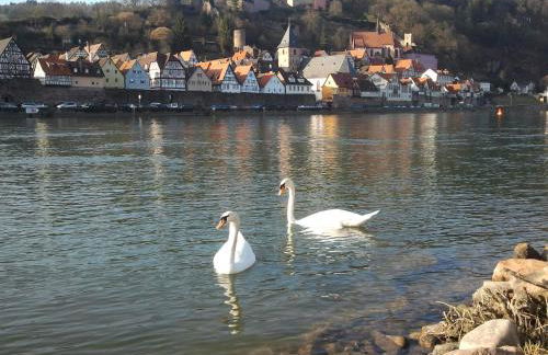 Romantisches Hirschhorn am Neckar - Photo 9