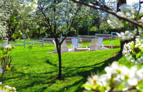 House Wisteria - Foto 63