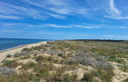 Appartamento - Tocca il Mare - Foto 21