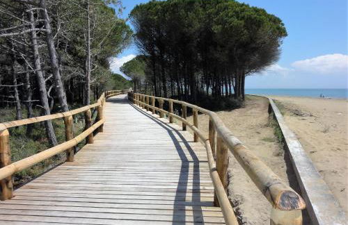 Silva - Appartamento - Foto 16