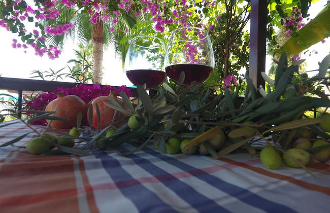 Lale Apart - Photo 2