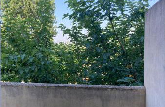 APARTAMENTO PINAPLAYA - Photo 18