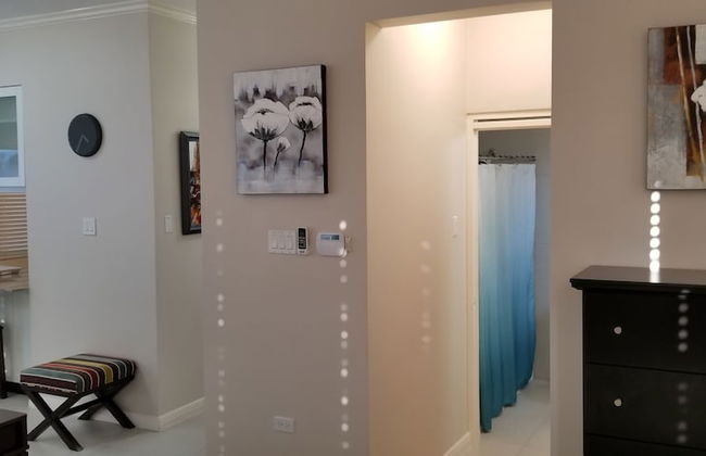 New Kingston Guest Apartment at Eight - Foto 13