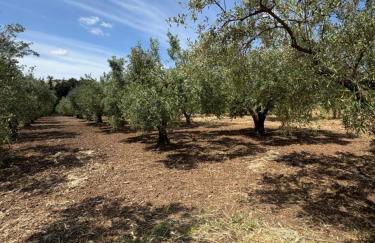 Borgo Bortolone - Foto 51