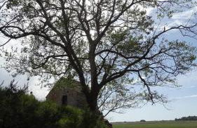 La Salicorne hébergement insolite - Foto 6