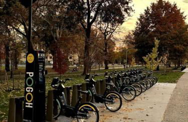 Pet Friendly 3 Bdrm House with Private Yard - Foto 38