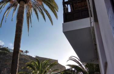 Phoenix Canariensis - Foto 20