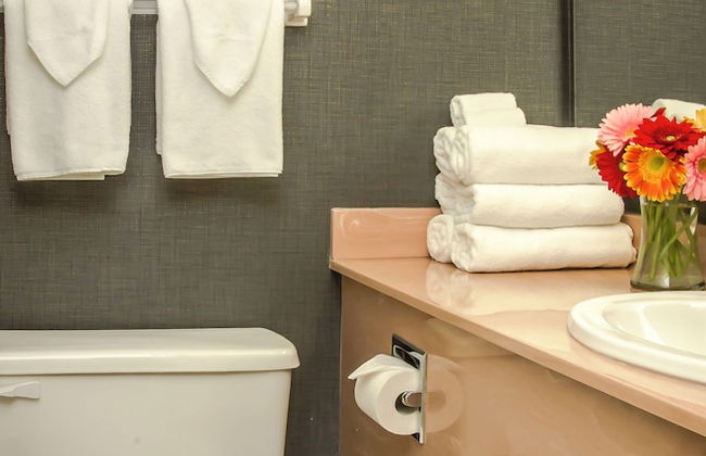 Cartier Place Suite Hotel - Photo 19