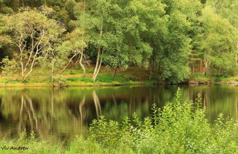 Crailloch Croft Cottages - Foto 33