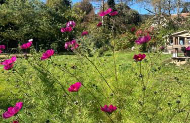 Ô Village - Foto 26