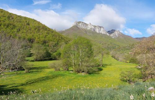 Apartamentos Nevandi - Photo 34