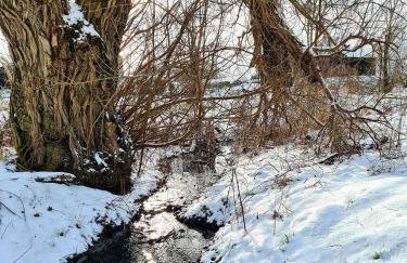 Mieszkanie nad jeziorem Olsztyn - Photo 25
