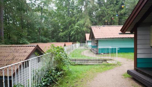 Waldidylle - Bungalows an der Talsperre Kriebstein - Foto 4