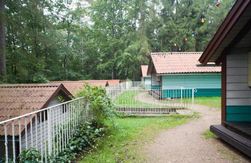 Waldidylle - Bungalows an der Talsperre Kriebstein - Foto 4