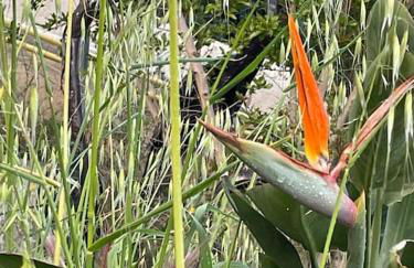 Superbe terrasse avec vue panoramique sur la mer - Foto 78