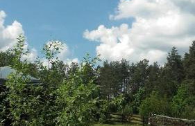 Domek Rokitki - Foto 32