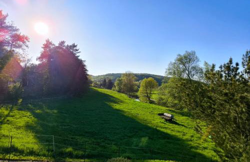 NEU - Wild Western Wohnung - 110 qm umgeben von Pferden am Fluss - Foto 11