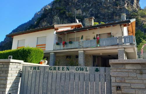 The Green Owl - Foto 12