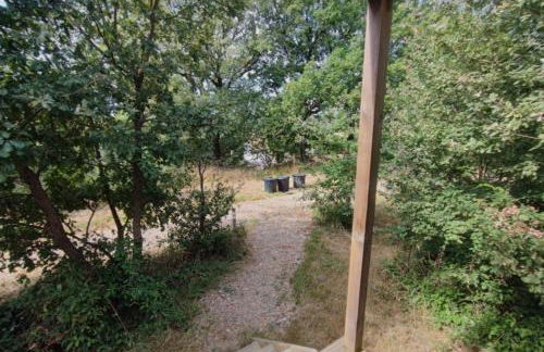 Studnature - Dunes - Foto 27