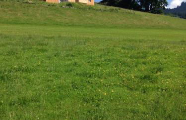 Wieshütten - fewo-badhindelang - Foto 8