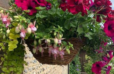 Chillout!! Sussex Flint Cottage- HotTub - Goodwood - Foto 7