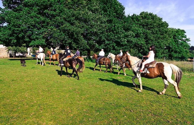 Casa Cazoleiro - Foto 29