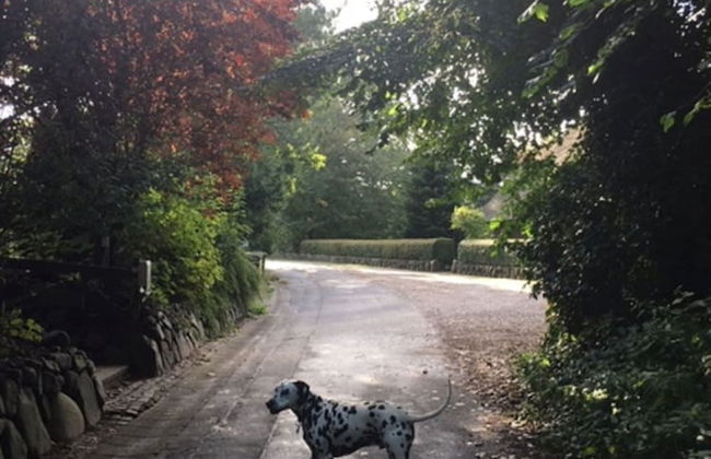Ferienwohnung Tante Lise - Foto 20