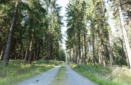 Luxurious Apartment in Jägersgrün with Saunas - Foto 77