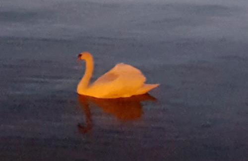 Wohnung Seerose - Foto 22