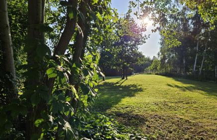 Osada Mech i Fale - Foto 48