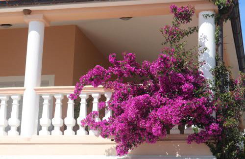 Olive House - Foto 69