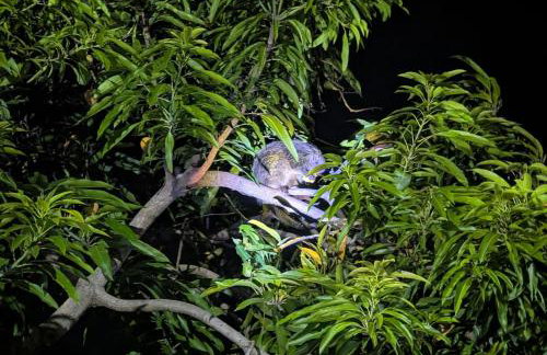 Casinha Charmosa & Rústica - Foto 37