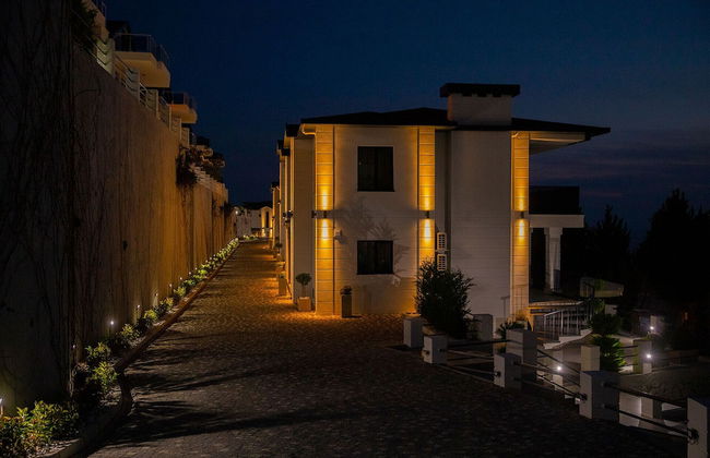 Antique Hills - Foto 25