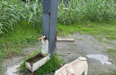 Oasi degli ulivi con piscina privata tra Versilia e Cinque Terre - Foto 34