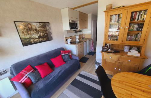 Studio 3 étoiles Les Helianthes, Wifi, Garage - Foto 21