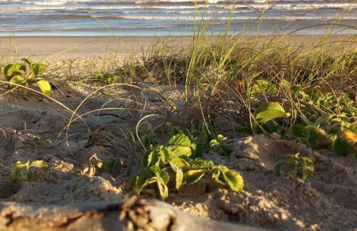 Casa Praia da Costa - Foto 10