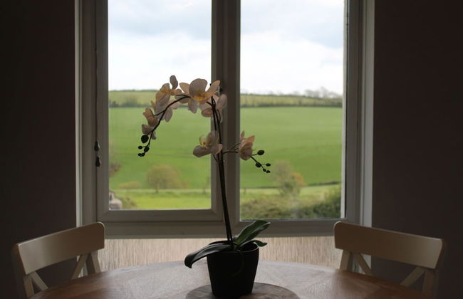 Stunning 3-bed Cottage Near Totnes South Devon - Foto 17