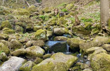 Ferienwohnung Haiger-Burbach für 5 Personen - Foto 28