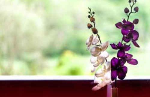 3-bed Lodge - Sleeps 7 - Hot Tub - Pet Friendly - Foto 64