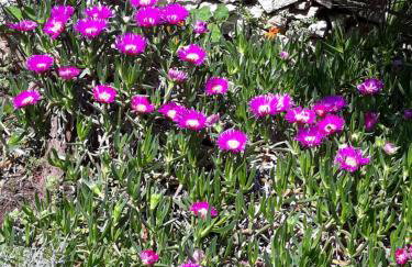 Apartment Nada - Foto 2