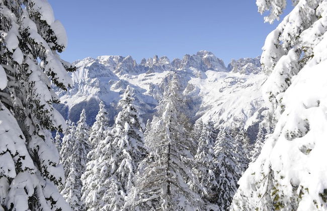 Agriturismo Florandonole - Foto 21